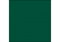 Зелёная RAL6005